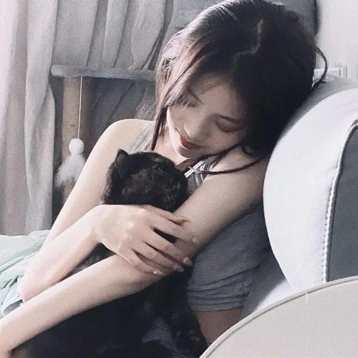 猫儿协奏曲